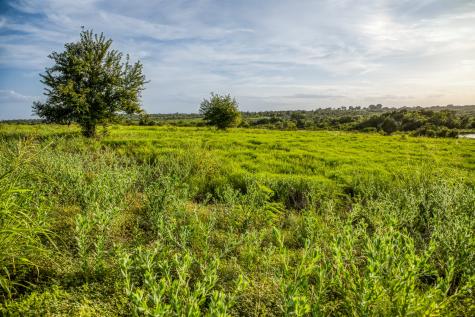 Lot 10 Hargrove Lane Washington TX 77880