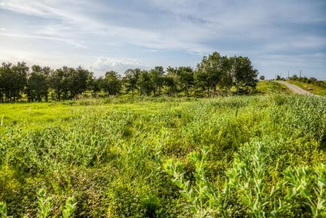 Lot 10 Hargrove Lane Washington TX 77880