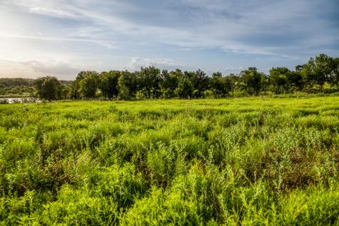 Lot 10 Hargrove Lane Washington TX 77880
