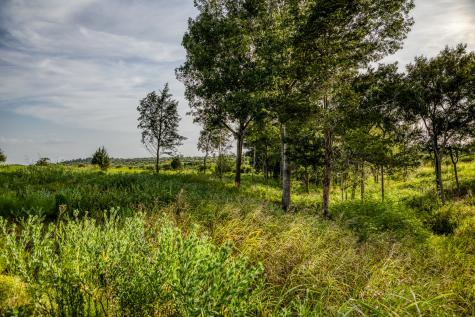 Lot 10 Hargrove Lane Washington TX 77880