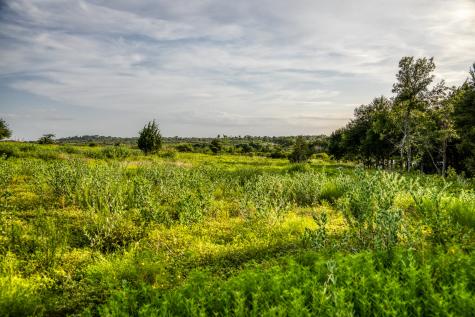 Lot 10 Hargrove Lane Washington TX 77880