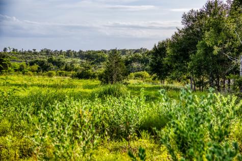 Lot 10 Hargrove Lane Washington TX 77880