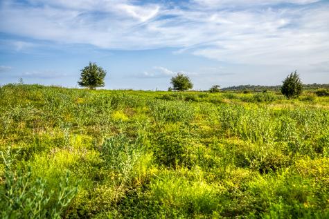 Lot 10 Hargrove Lane Washington TX 77880