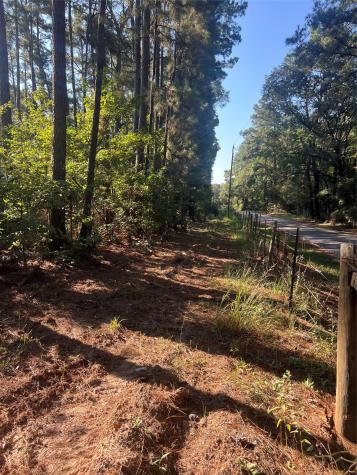 Tbd 1 Hardy Bottom Road Huntsville TX 77340