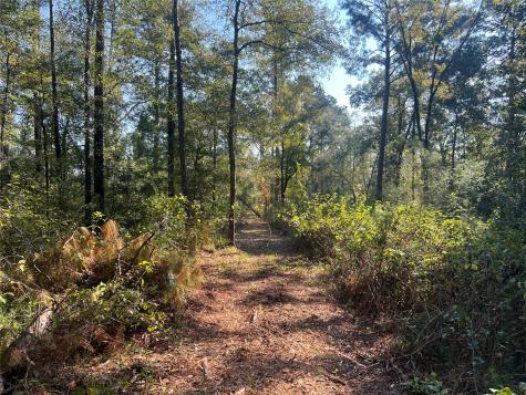 Tbd 1 Hardy Bottom Road Huntsville TX 77340