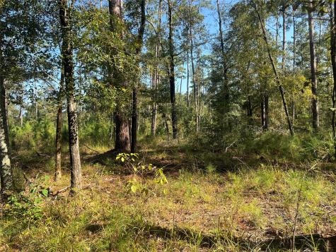 Tbd 1 Hardy Bottom Road Huntsville TX 77340