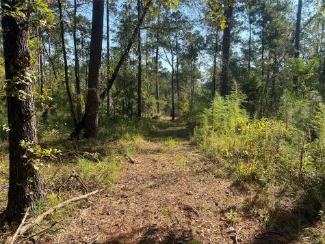 Tbd 1 Hardy Bottom Road Huntsville TX 77340