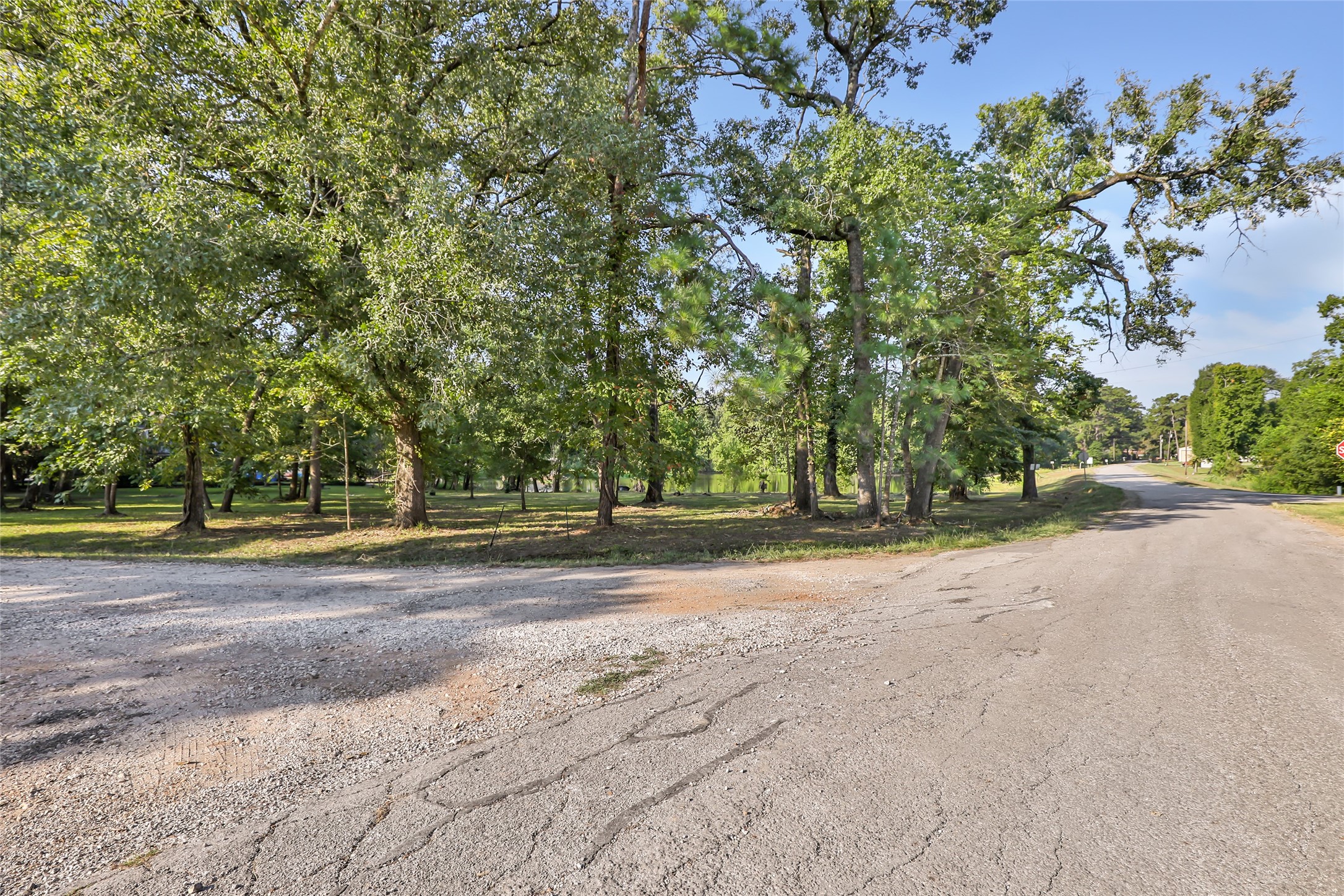 Tbd Dominy Drive Cleveland TX 77327
