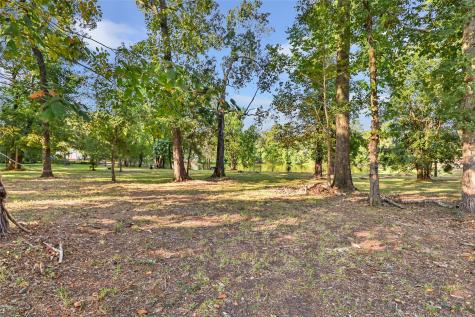 Tbd Dominy Drive Cleveland TX 77327
