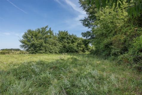 Lot 7 Lcr 822 Thornton TX 76687
