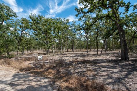 Lots 211 & 212 Forest Oak Drive Somerville TX 77879