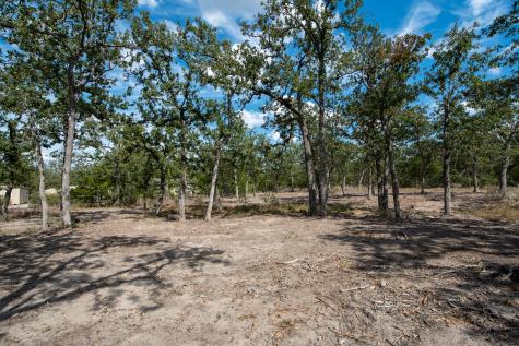 Lots 211 & 212 Forest Oak Drive Somerville TX 77879