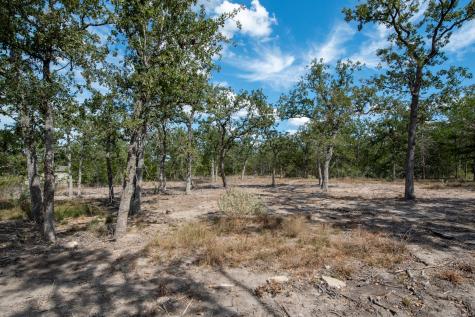 Lots 211 & 212 Forest Oak Drive Somerville TX 77879