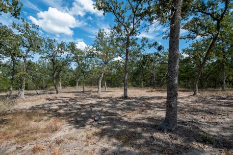 Lots 211 & 212 Forest Oak Drive Somerville TX 77879