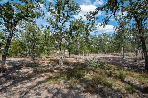 Lots 211 & 212 Forest Oak Drive Somerville TX 77879