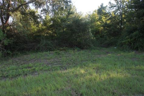 25302 Lake Ridge Drive Navasota TX 77868