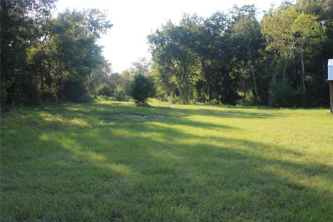 25302 Lake Ridge Drive Navasota TX 77868