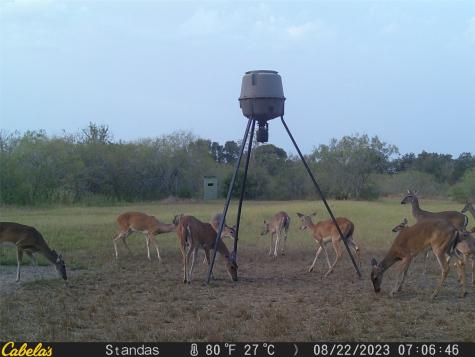 6289 Maynard Hallmark Road Waelder TX 78959