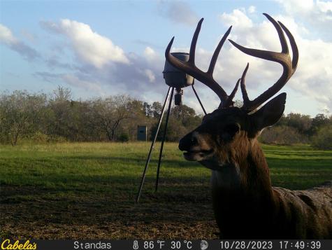 6289 Maynard Hallmark Road Waelder TX 78959