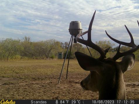 6289 Maynard Hallmark Road Waelder TX 78959