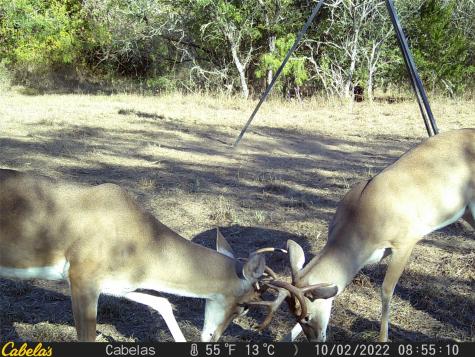 6289 Maynard Hallmark Road Waelder TX 78959