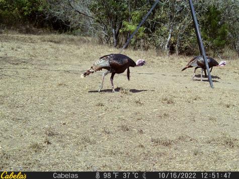 6289 Maynard Hallmark Road Waelder TX 78959