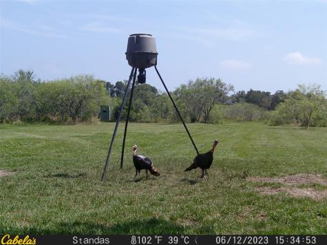 6289 Maynard Hallmark Road Waelder TX 78959