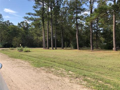 523 Petersburg Drive Goodrich TX 77335