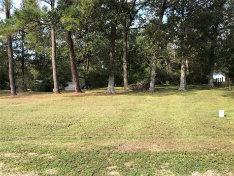 523 Petersburg Drive Goodrich TX 77335