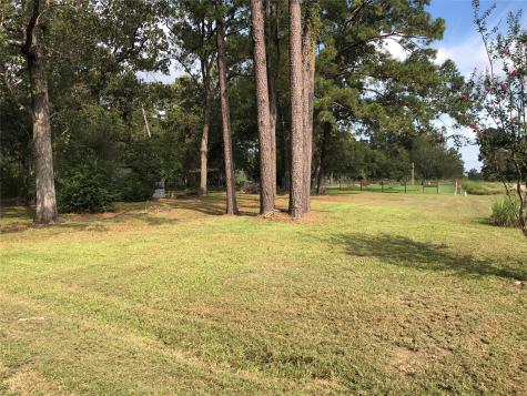 523 Petersburg Drive Goodrich TX 77335