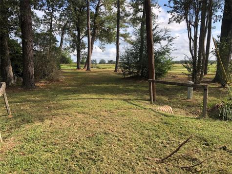 523 Petersburg Drive Goodrich TX 77335