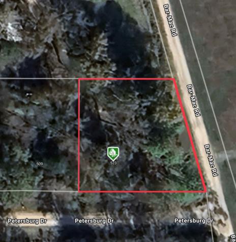 523 Petersburg Drive Goodrich TX 77335
