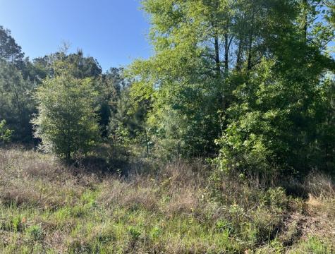 Tbd Highway 105 Cleveland TX 77328