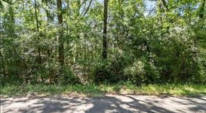 Tbdd Sharon Lane Livingston TX 77351