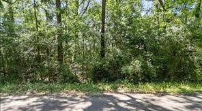 Tbdd Sharon Lane Livingston TX 77351