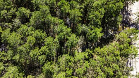 031 King Ranch Road South Road Onalaska TX 77360