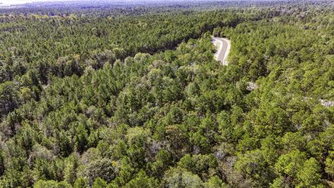 031 King Ranch Road South Road Onalaska TX 77360