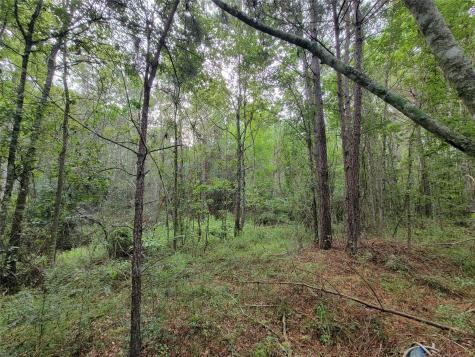 20122 Meadow Lake Road Cleveland TX 77328