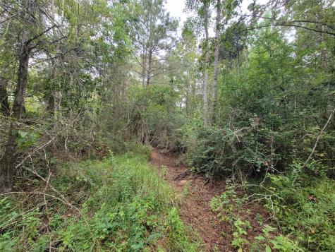 20122 Meadow Lake Road Cleveland TX 77328