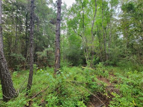 20122 Meadow Lake Road Cleveland TX 77328