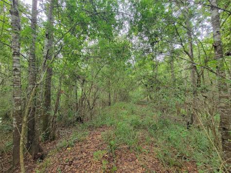 20122 Meadow Lake Road Cleveland TX 77328