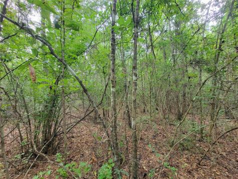 20122 Meadow Lake Road Cleveland TX 77328