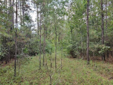 20122 Meadow Lake Road Cleveland TX 77328