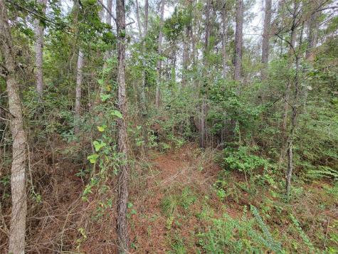 20122 Meadow Lake Road Cleveland TX 77328