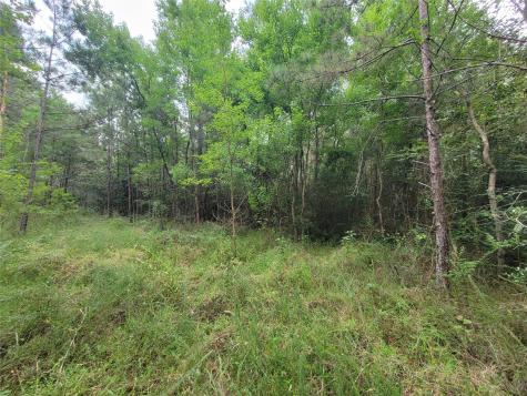 20122 Meadow Lake Road Cleveland TX 77328