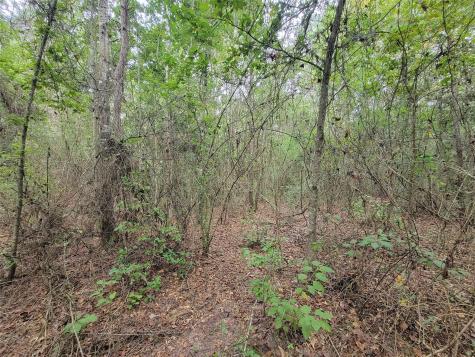 20122 Meadow Lake Road Cleveland TX 77328