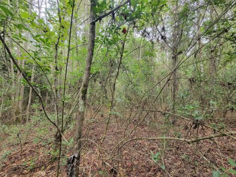 20122 Meadow Lake Road Cleveland TX 77328