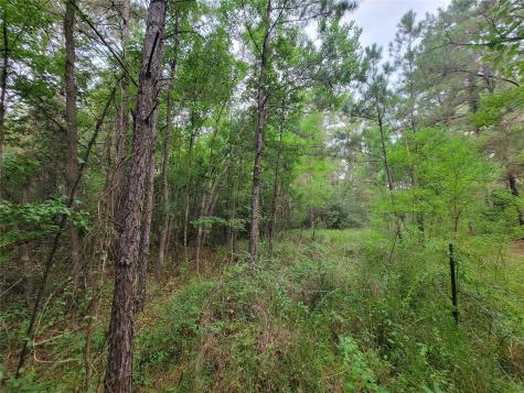 20122 Meadow Lake Road Cleveland TX 77328