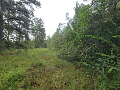 20122 Meadow Lake Road Cleveland TX 77328