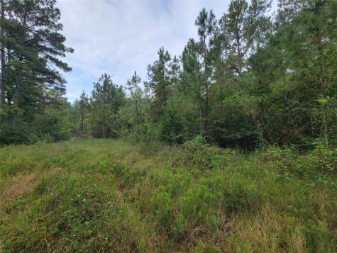20122 Meadow Lake Road Cleveland TX 77328